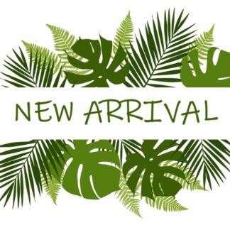 NEW ARRIVALS
